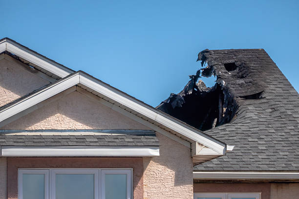 Top rated local Fire Damage Cleanup specialists in Bellmawr, NJ